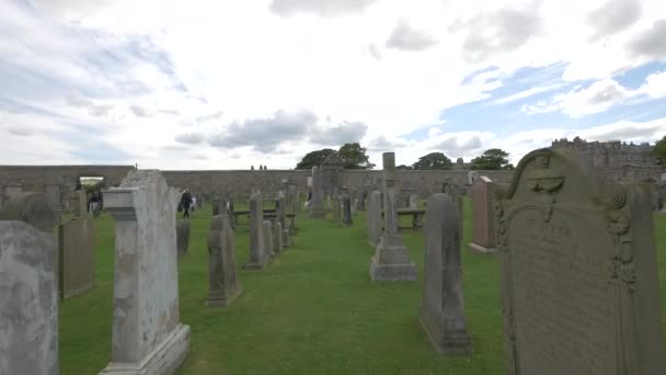 Filas Lápidas Cementerio — Vídeos de Stock