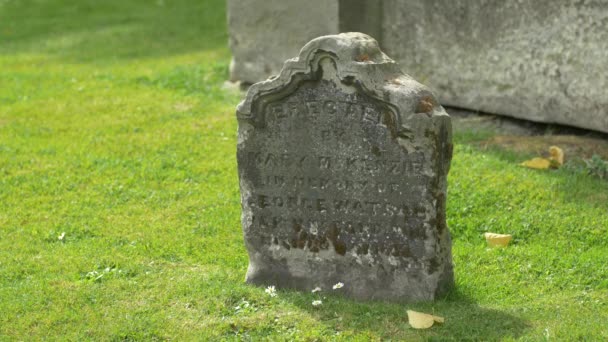 坟场里的小墓碑 — 图库视频影像