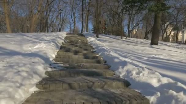Σκάλες Στο Πάρκο Κρεσάτικ — Αρχείο Βίντεο