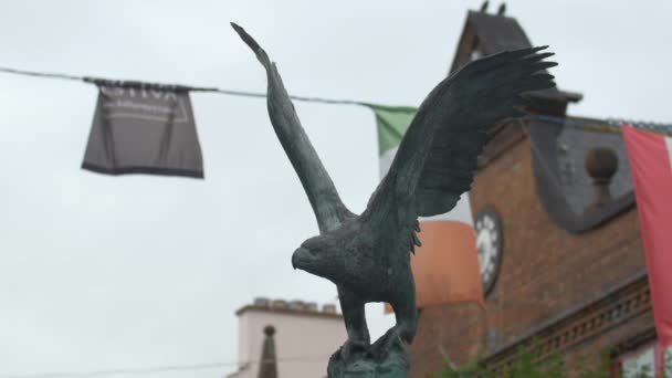 Une Sculpture Oiseau Killarney Irlande — Video