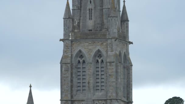 Torre Torre Una Catedral — Vídeos de Stock