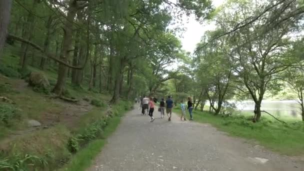 Promenade Forestière Près Lac Supérieur — Video