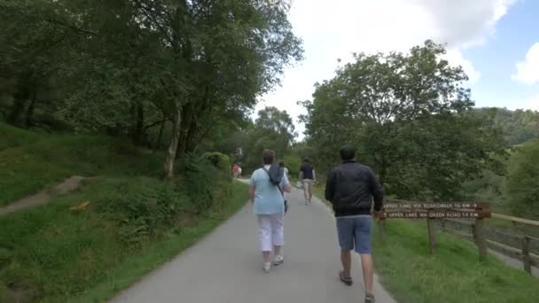 Menschen Gehen Auf Gepflasterten Promenaden — Stockvideo