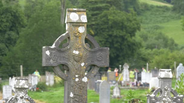 Celtic Cross Glendalough Cemetery — Stock Video