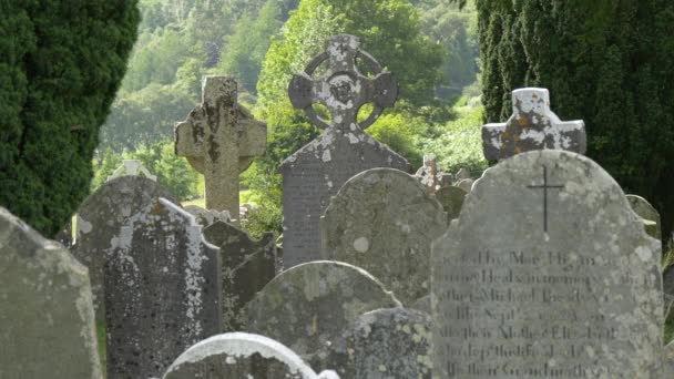 Glendalough Mezar Taşlarının Manzarası — Stok video