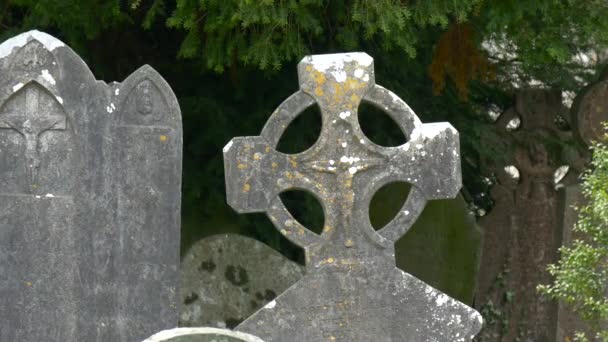 Grafsteen Met Keltisch Kruis — Stockvideo