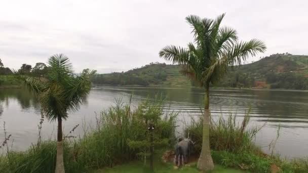 ウガンダ ブニヨニ湖の空中風景 — ストック動画