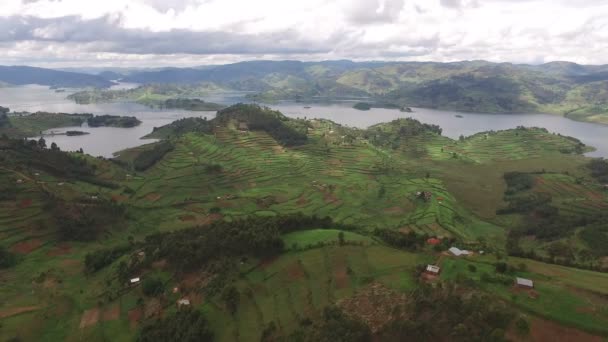 Αεροφωτογραφία Των Ορεινών Περιοχών Και Της Λίμνης Bunyonyi Ουγκάντα — Αρχείο Βίντεο