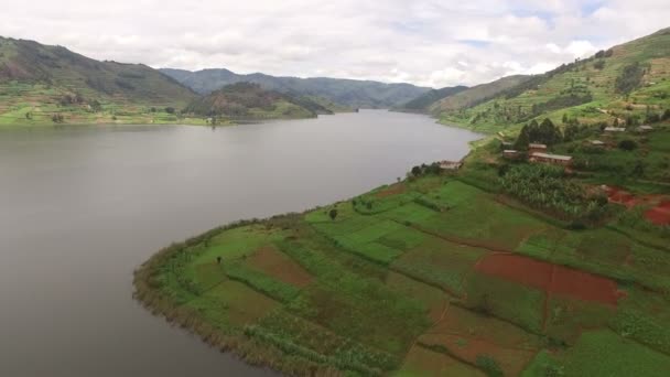 Aerial View Crops Lake Bunyonyi Uganda — Stock Video