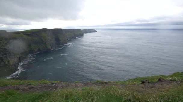 Acantilados Moher Vista — Vídeo de stock