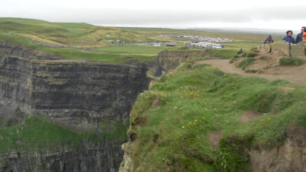 Tourists Visiting Cliffs Moher — Stockvideo