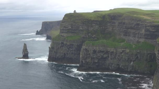 Cliffs Moher Ιρλανδία — Αρχείο Βίντεο