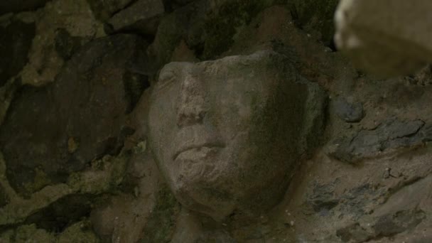 Remains Head Sculpture — Stok video