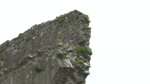 Старая Каменная Стена Концепция Путешествия — стоковое видео