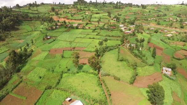 Vista Aérea Una Aldea Uganda — Vídeos de Stock