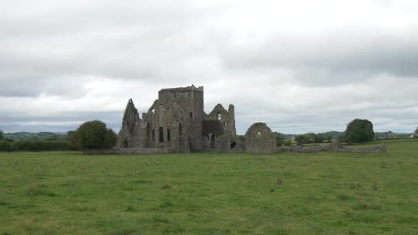 Hore Abbey Klooster Ruïnes Cashel — Stockvideo