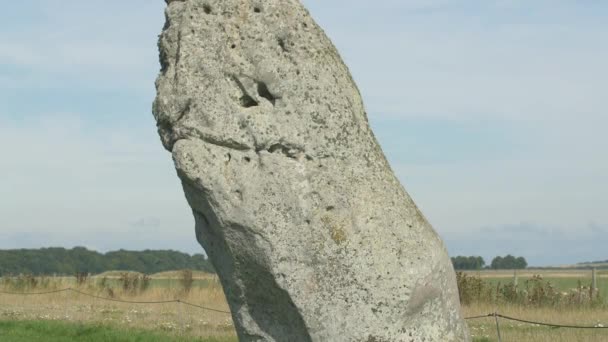 Heel Stone Stonehenge — Stock video