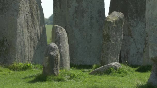 Pietre Stonehenge Monumento — Video Stock