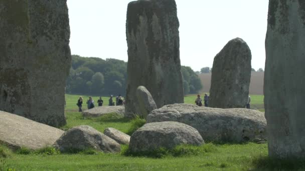 Toeristen Onder Stenen Van Stonehenge — Stockvideo
