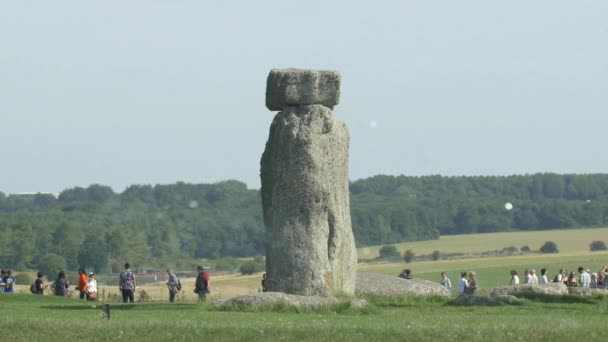 Verticale Steen Bij Stonehenge — Stockvideo