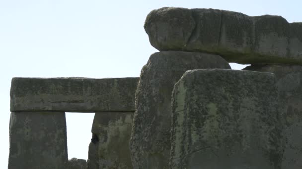巨石阵纪念碑的三柱上的苔藓 — 图库视频影像