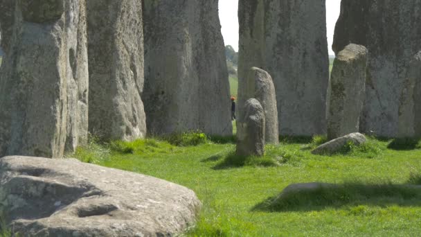 Stenen Het Groene Gras Bij Stonehenge — Stockvideo