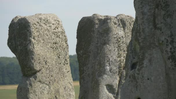 Close Stone Pillars — Stock Video