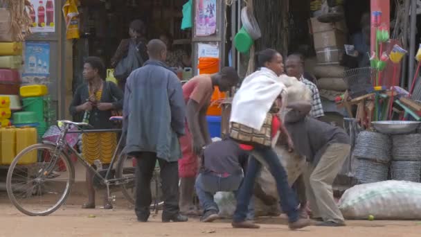 Footage Uganda Lifestyle Three Men Carrying Big Bag — 图库视频影像