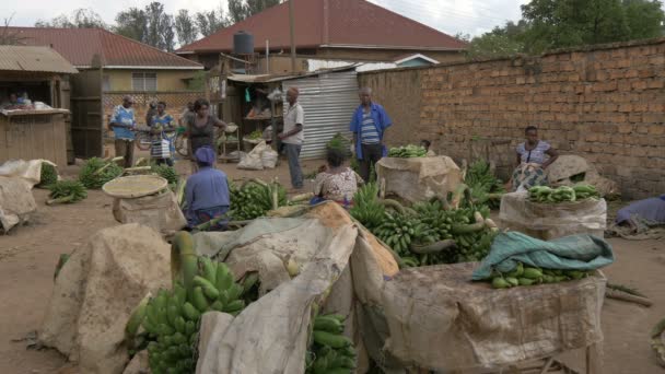 Footage Uganda Lifestyle People Selling Green Bananas Kabale Uganda — Stok video