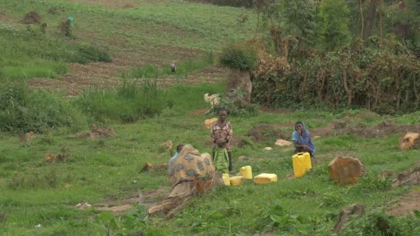 田里水罐附近的非洲人 — 图库视频影像