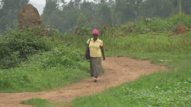 Mujer Africana Caminando Por Camino — Vídeo de stock