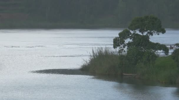Bateaux Naviguant Sur Lac Sous Pluie — Video