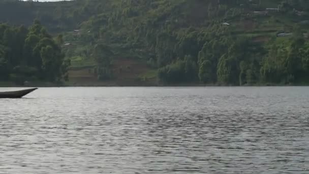 Ruderboot Auf Einem See — Stockvideo