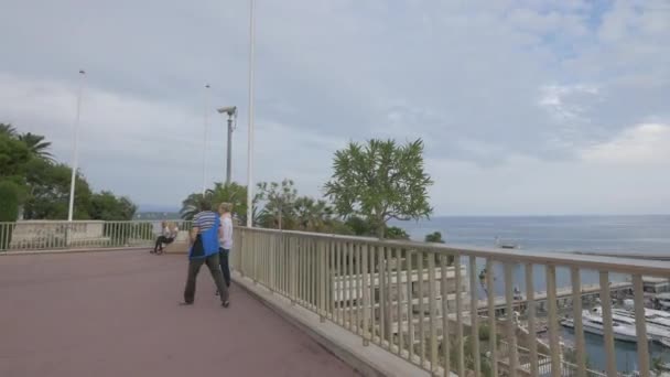 由海滨看到的大力士港 — 图库视频影像