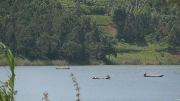 Trois Bateaux Naviguant Sur Lac — Video