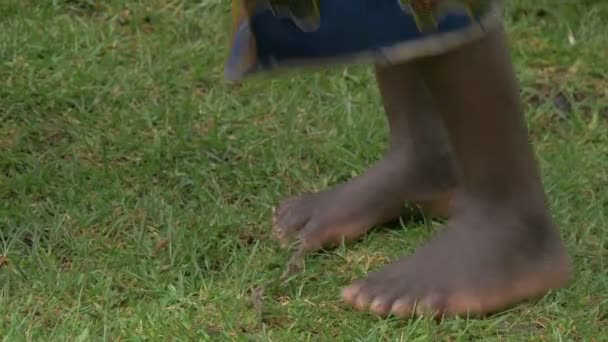 Feet Dancing Grass — Wideo stockowe