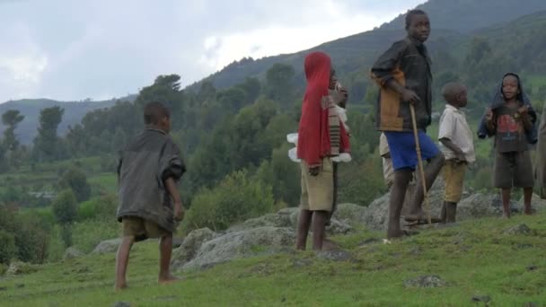 Bambini Adulti Africani Campo — Video Stock