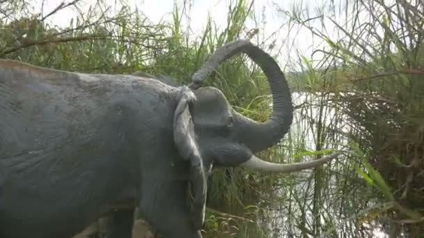 Blick Auf Eine Elefantenstatue — Stockvideo