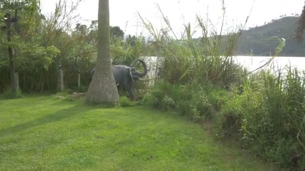 Estatua Elefante Orilla Del Lago Bunyonyi — Vídeos de Stock