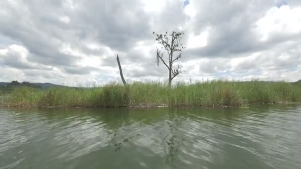 Lake Kust Met Gras — Stockvideo