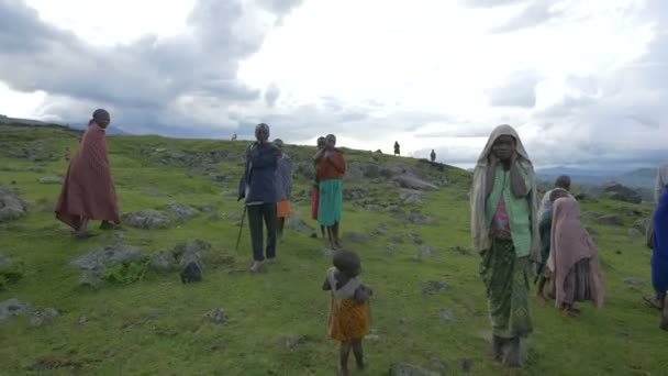 Afrikaner Auf Einem Feld — Stockvideo