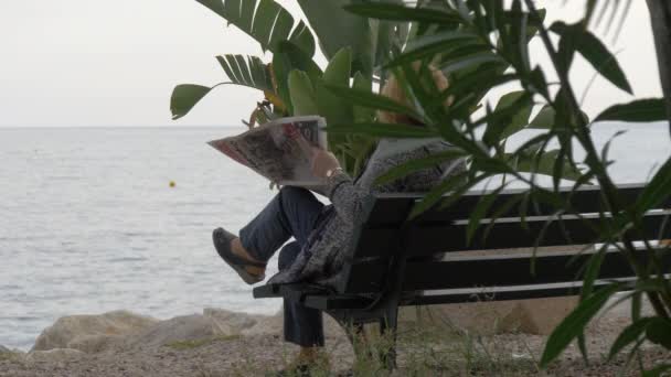 Woman Reading Newspaper Bench — Stock Video