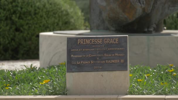 Табличка Статуей Принцессы Грейс Монако — стоковое видео