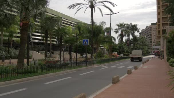 Ulica Palmami Monako — Wideo stockowe