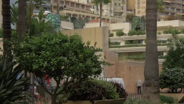 Inclinazione Palme Edifici Alberghieri Monaco — Video Stock