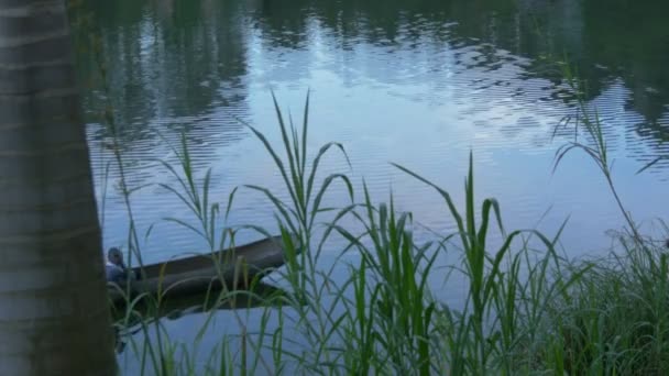 Лодка Озере Буньоньи Вечером — стоковое видео