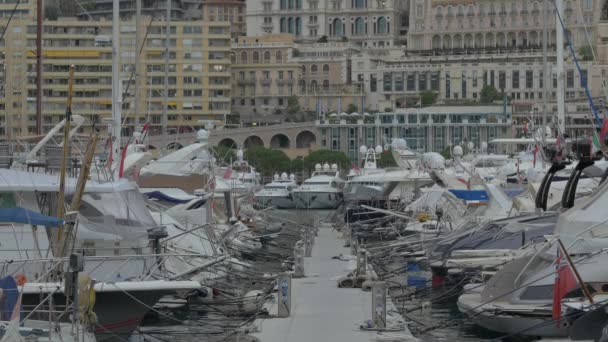 Bateaux Attachés Sur Pont Dans Port Hercules — Video