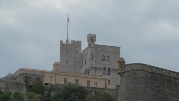 Istana Pangeran Monako — Stok Video