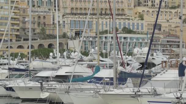 Monako Limanında Direkli Tekneler — Stok video