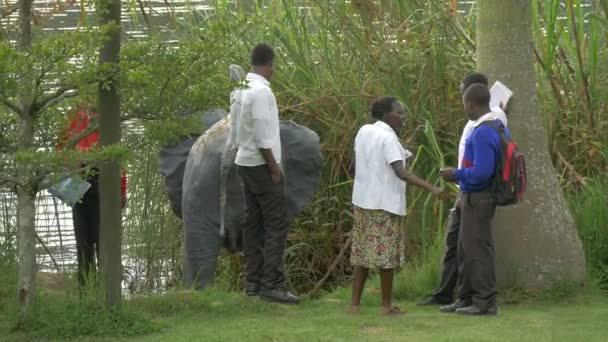 Gente Africana Cerca Una Estatua Elefante — Vídeos de Stock